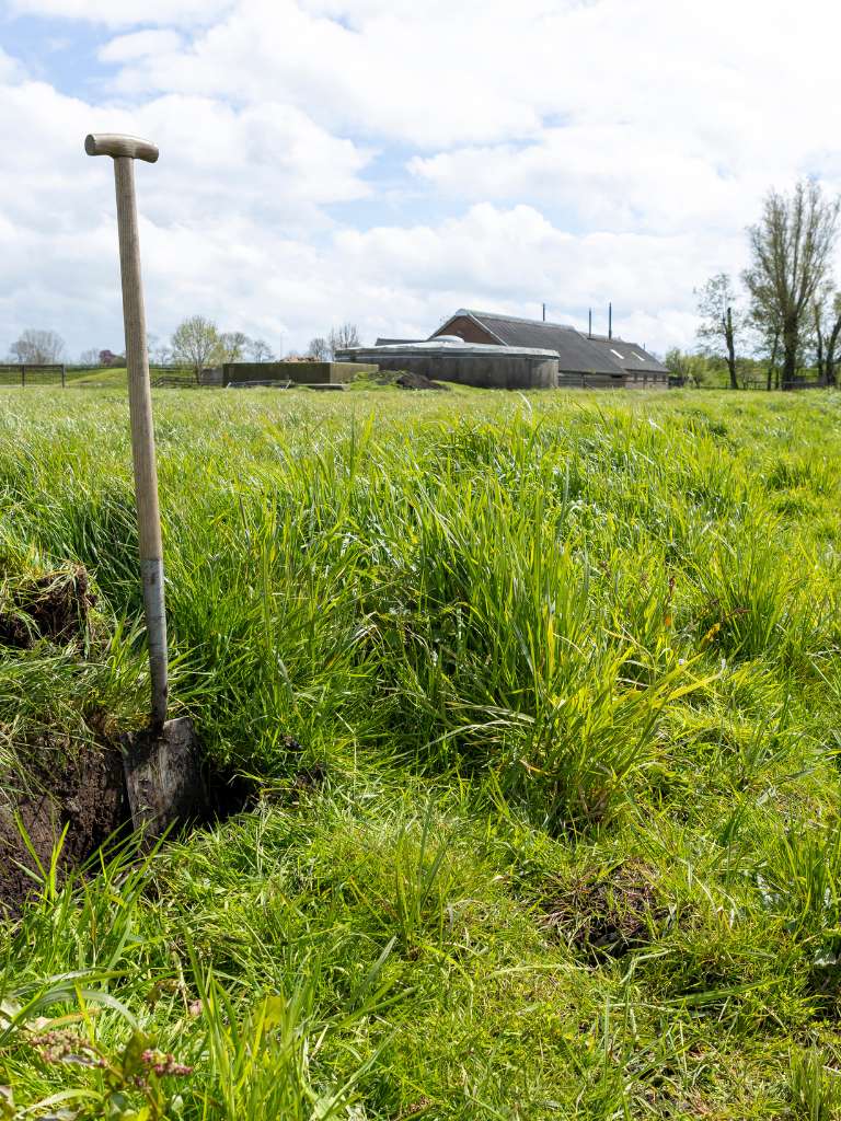 Schep in de grond
