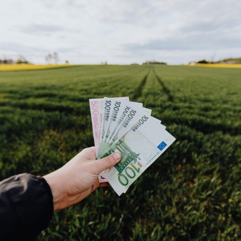 financiële verdieping agrarisch bedrijfsbegroting