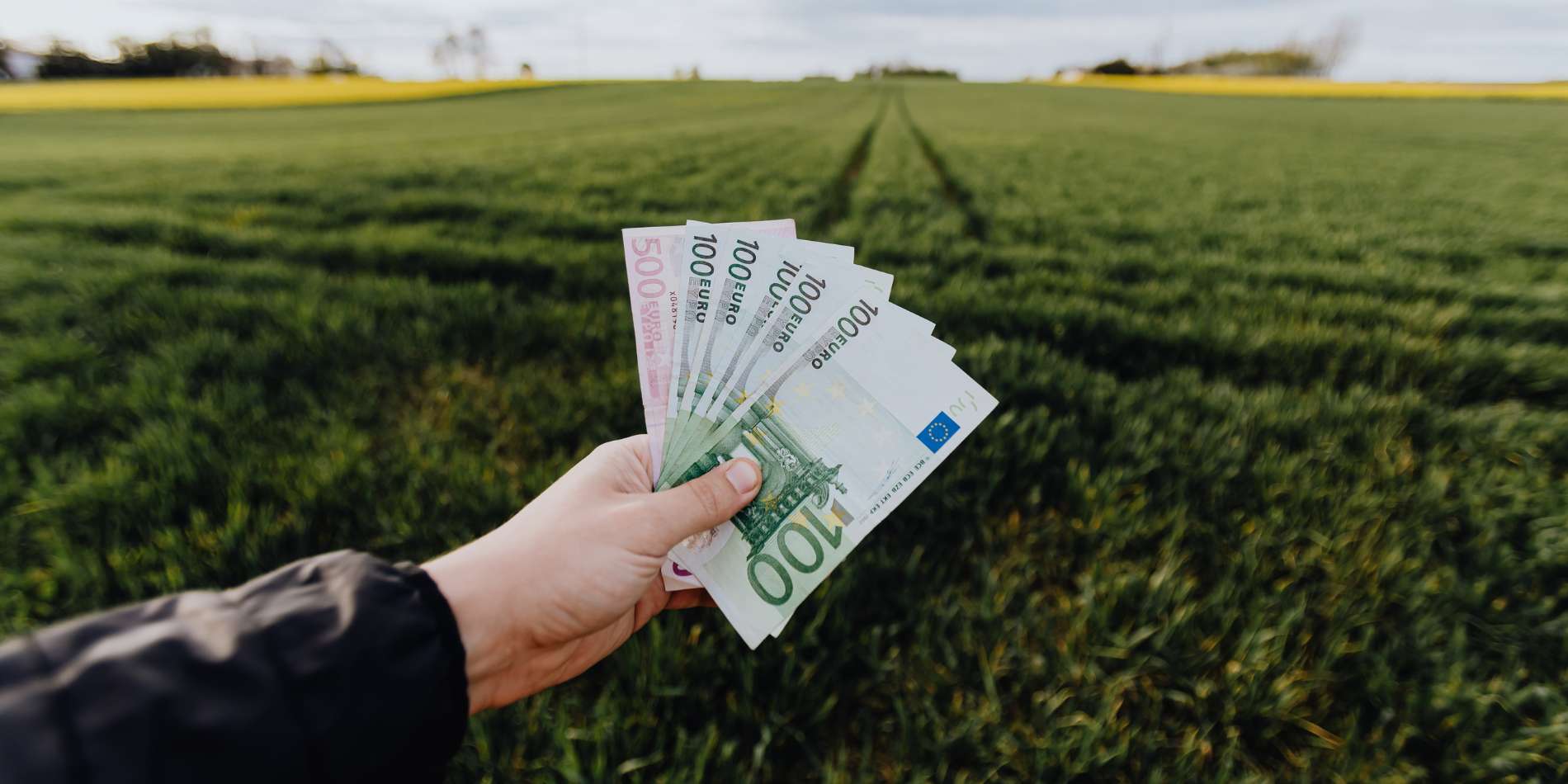 financiële verdieping agrarisch bedrijfsbegroting