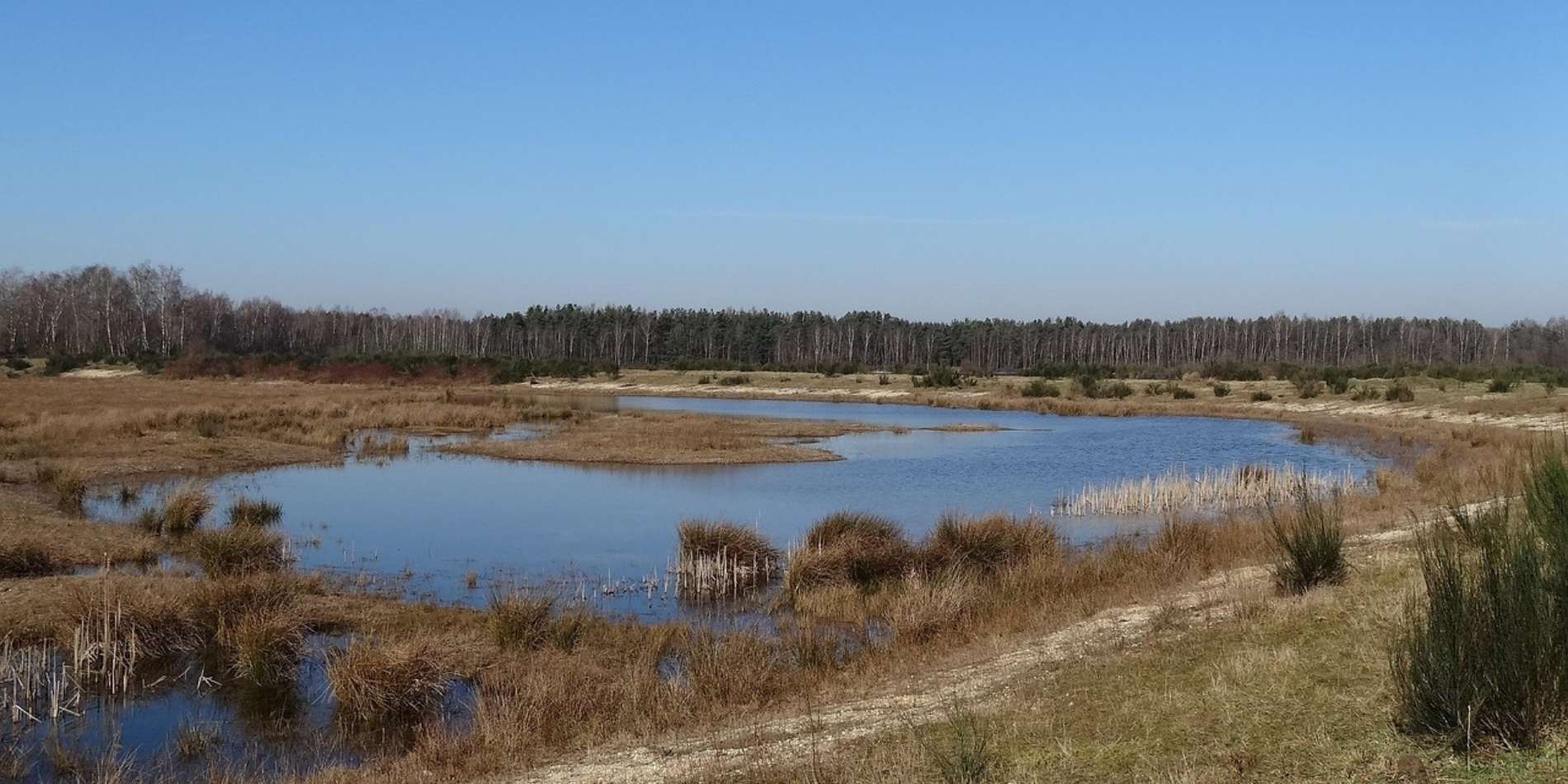 landschap in waterrijk gebied