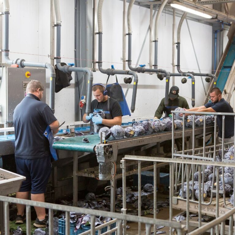 Leidinggeven op de agrarische werkvloer
