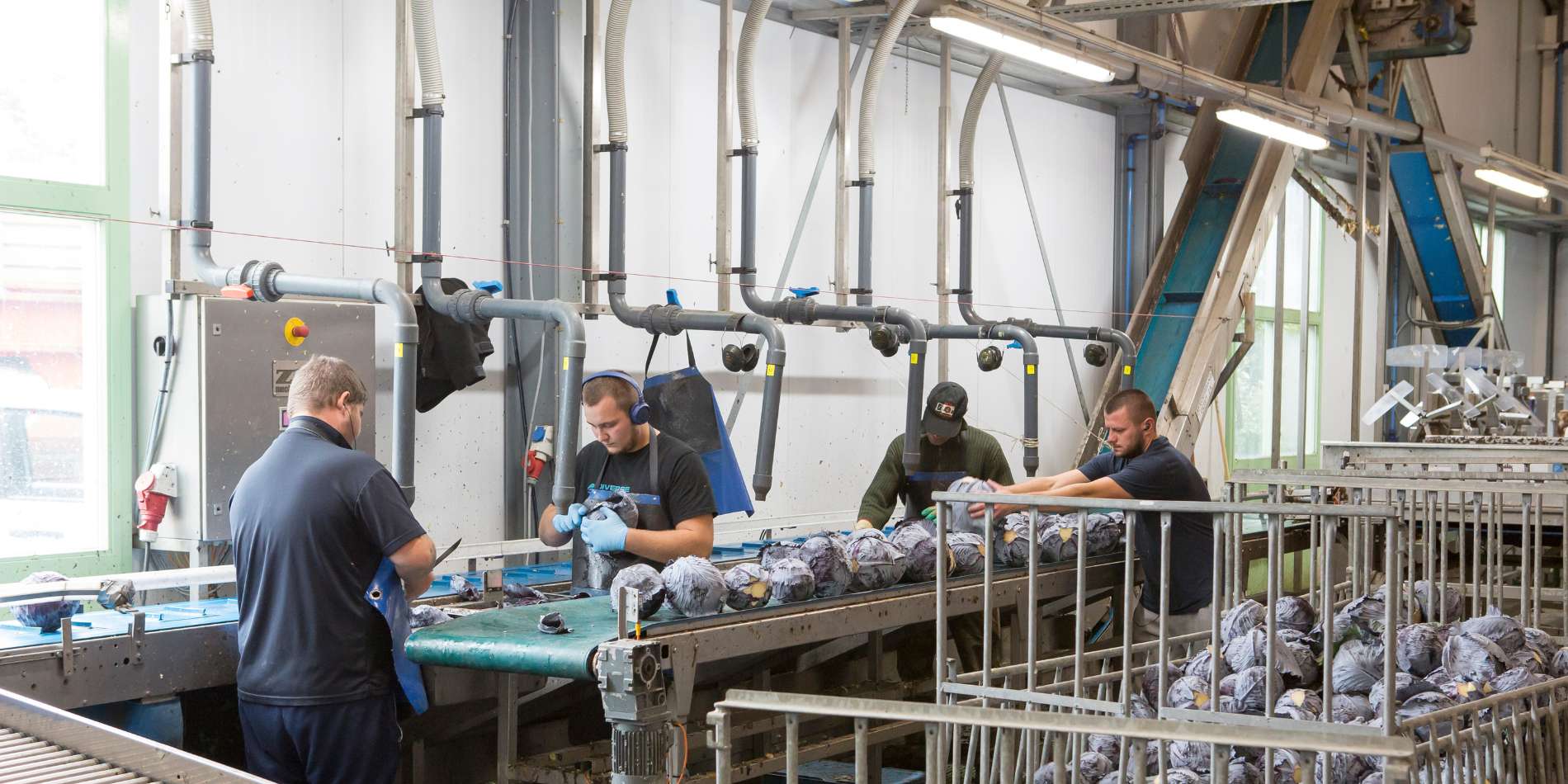 Leidinggeven op de agrarische werkvloer