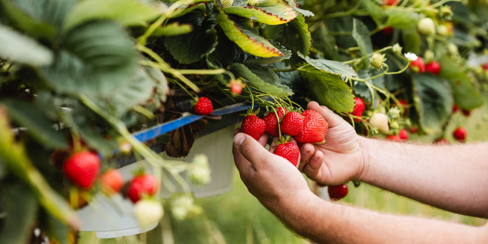 Werken bij de LTO Academie