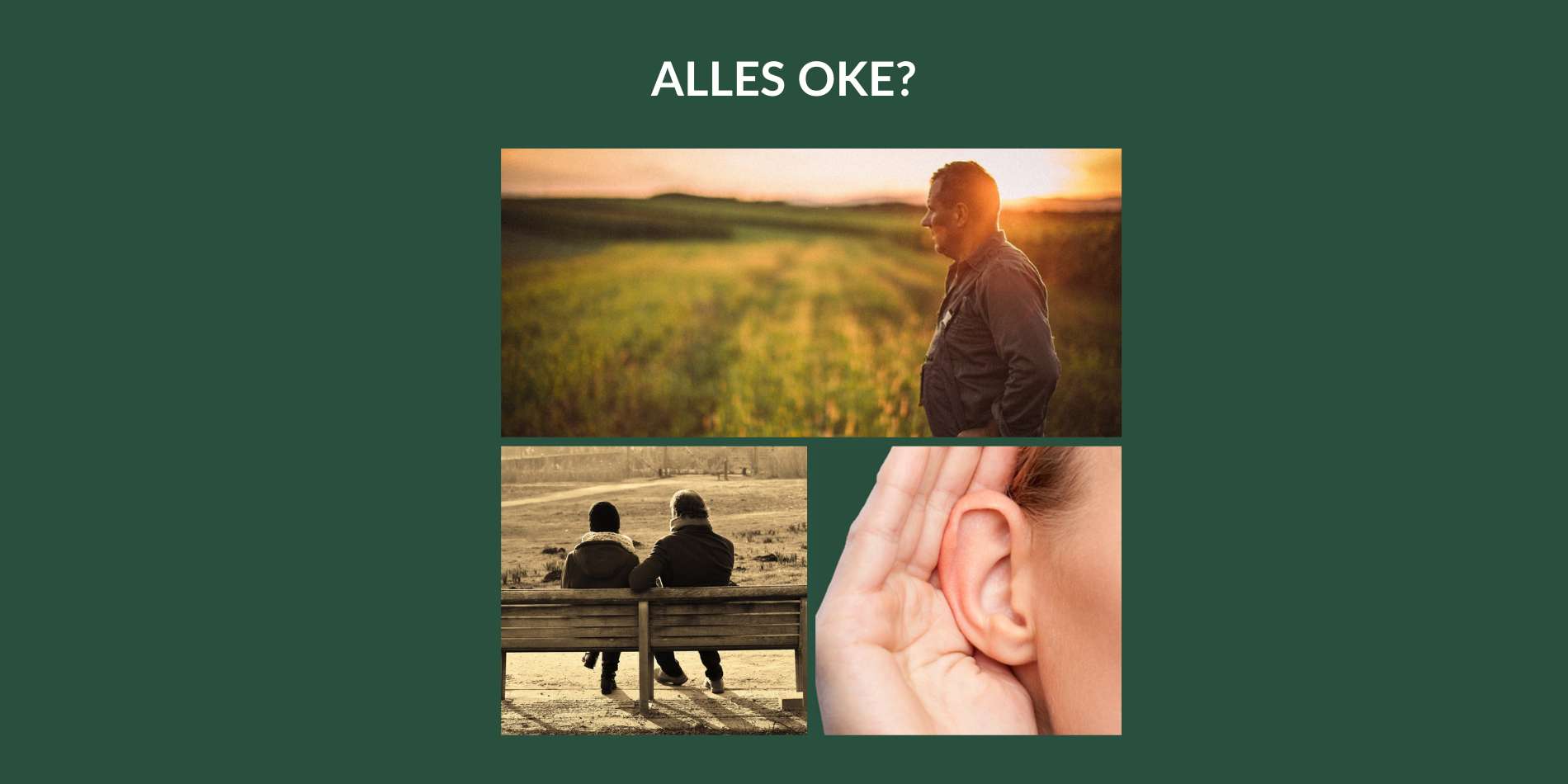 Naslagwerk Alles oke